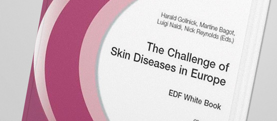 whitebook 6 edition
