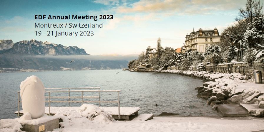 slide sdf meeting
