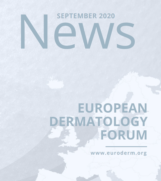 backgroundnl2020