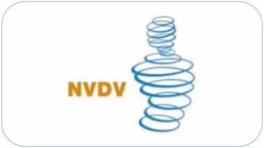 nvdv link